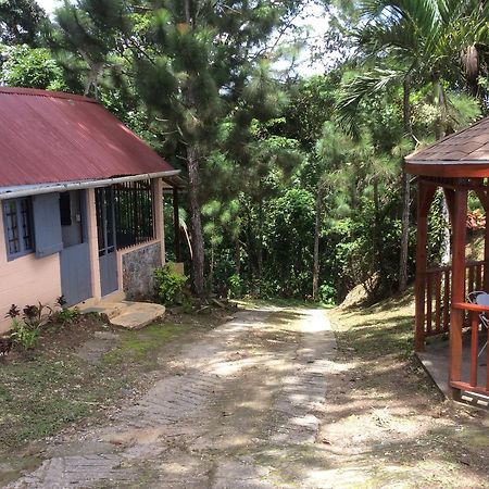 Mahogany Ridge Hotel Arouca ภายนอก รูปภาพ