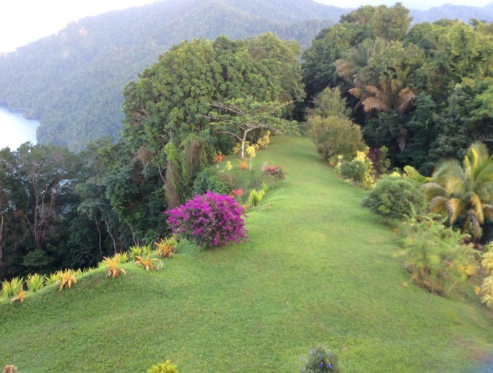 Mahogany Ridge Hotel Arouca ภายนอก รูปภาพ
