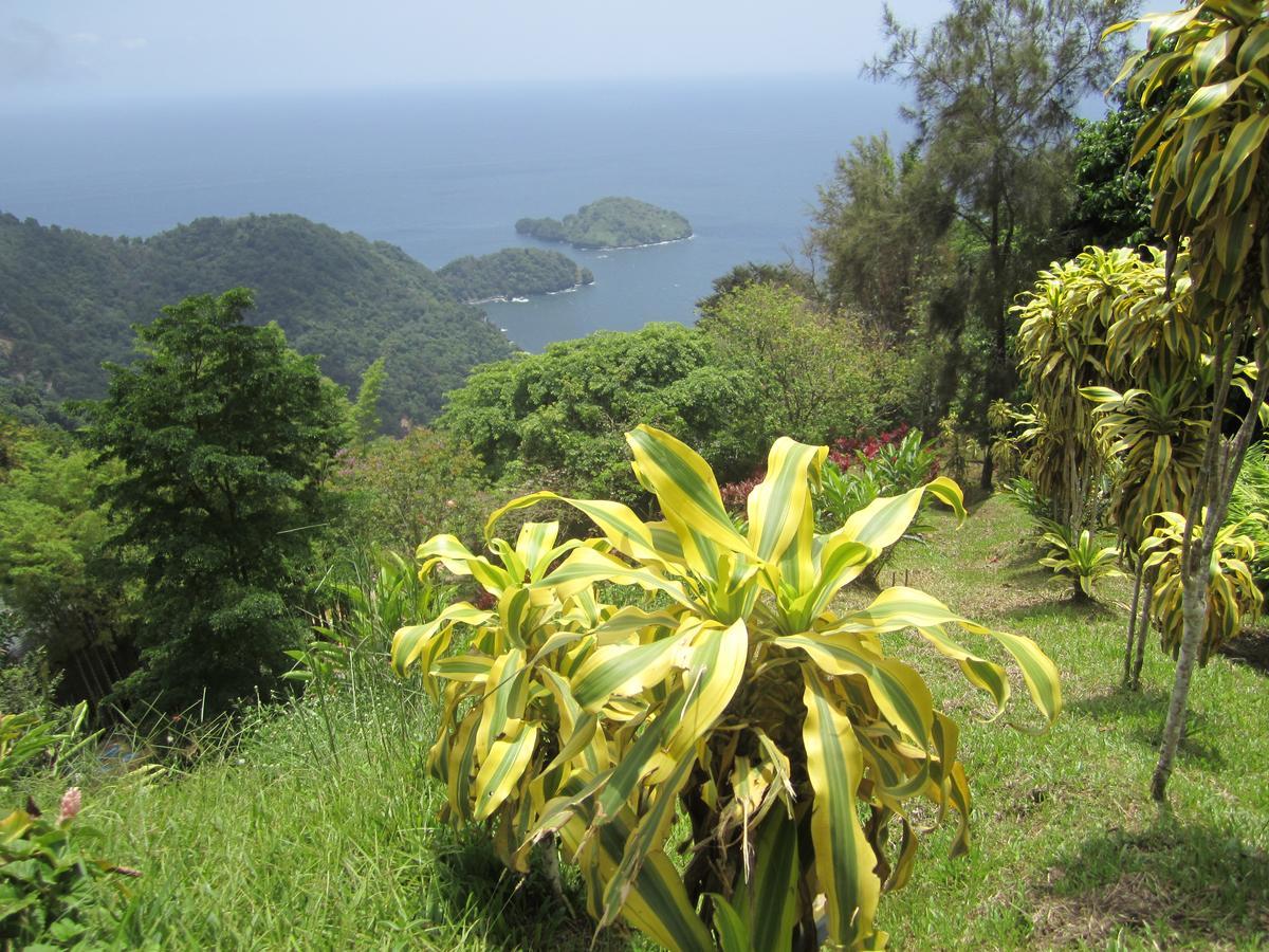 Mahogany Ridge Hotel Arouca ภายนอก รูปภาพ