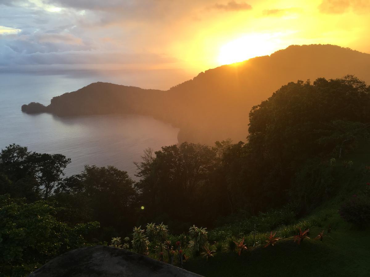 Mahogany Ridge Hotel Arouca ภายนอก รูปภาพ
