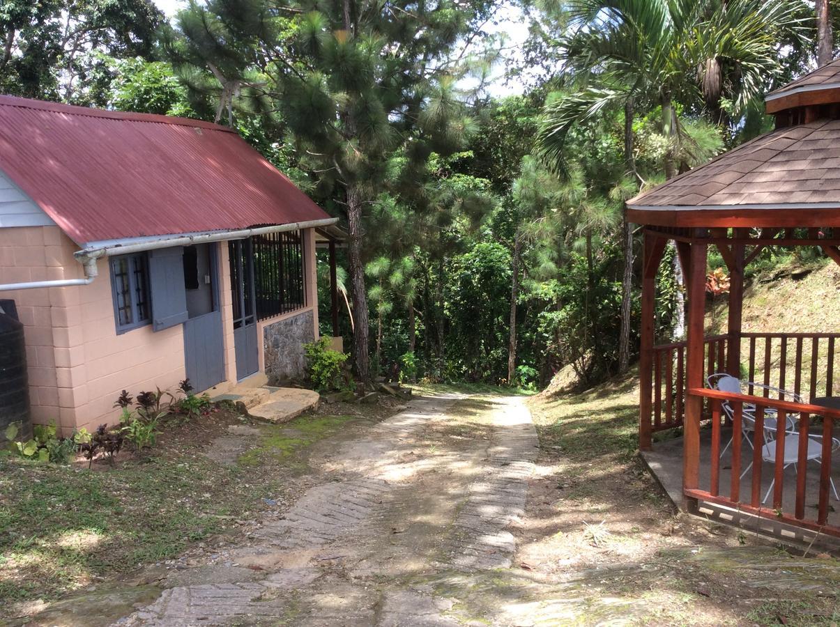 Mahogany Ridge Hotel Arouca ภายนอก รูปภาพ